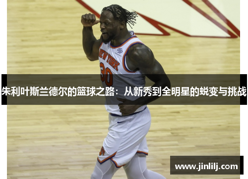 朱利叶斯兰德尔的篮球之路：从新秀到全明星的蜕变与挑战